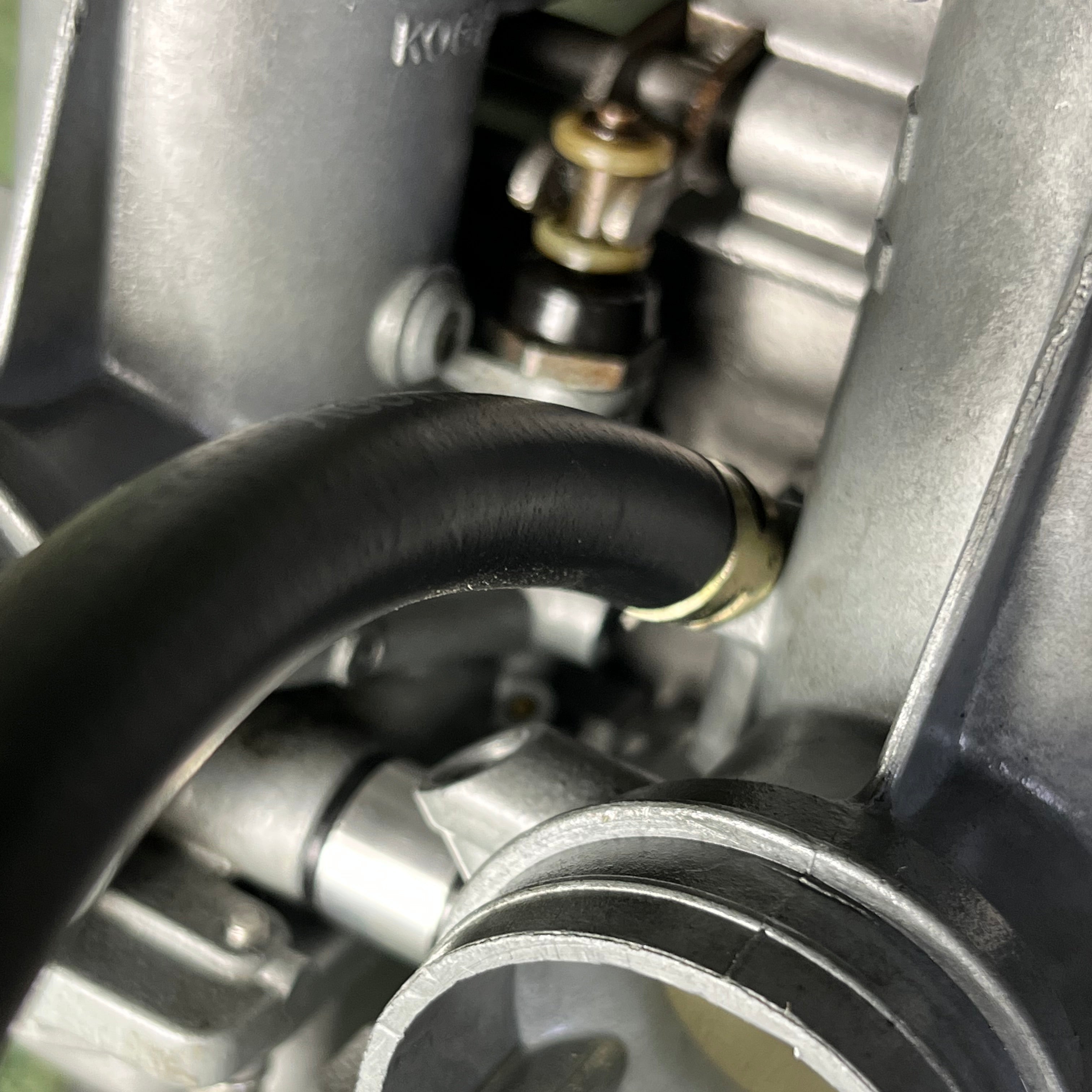 Fresh Hoses